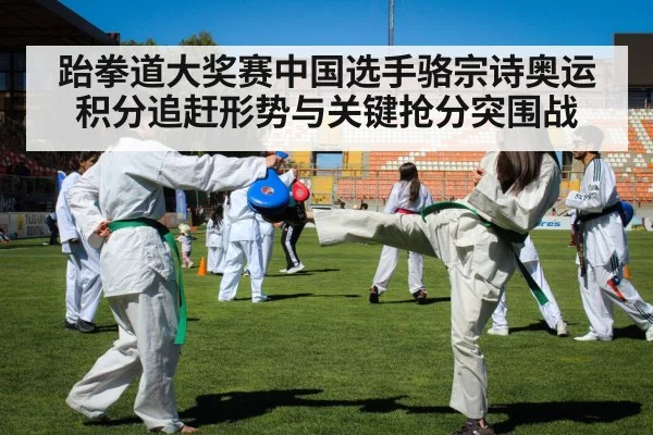 taekwondo athletes sparring